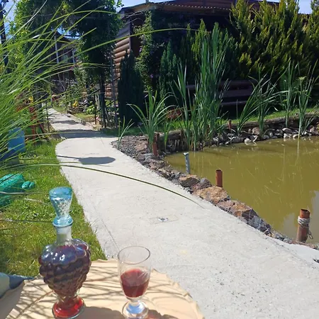 Feriehus у фёдера и маргариты Nizhnya Hrabivnytsia