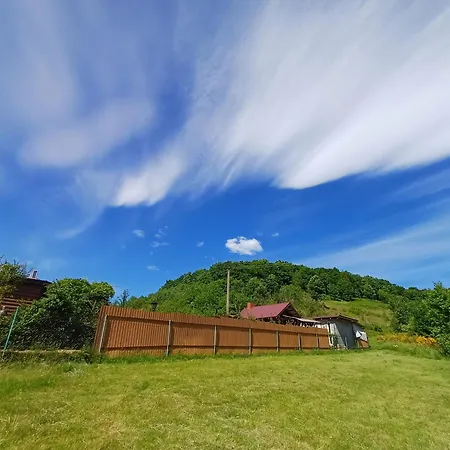 у фёдера и маргариты Nizhnya Hrabivnytsia